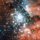 NGC 3603, a cluster of young stars.